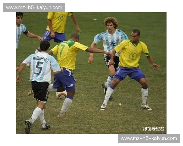 美洲杯战报：激情与荣耀的绿茵纪实